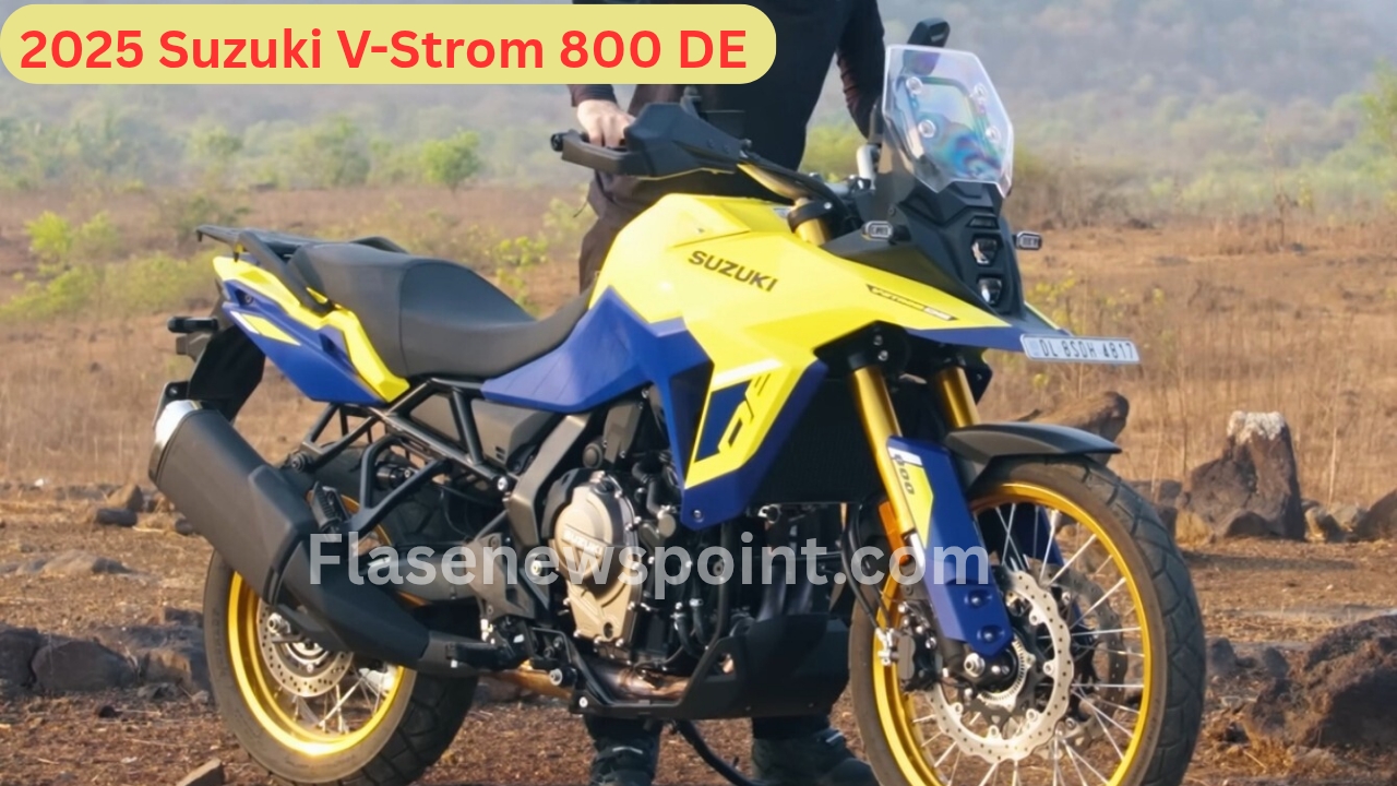 Suzuki V-Strom 800DE